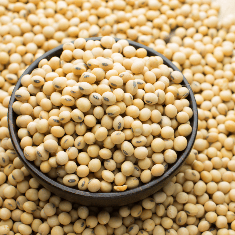 pro_750Soya-Beans.png
